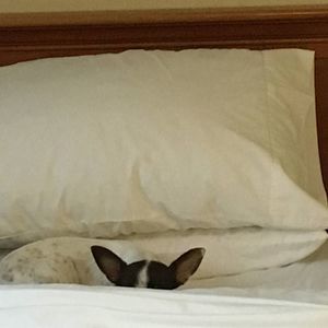 Meet your Posher, Cindy